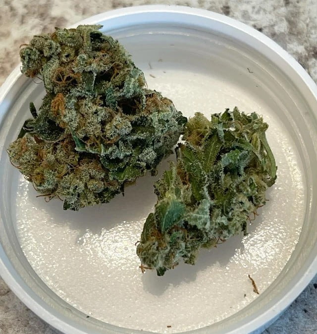 Can anyone buy from FLMedicalTrees