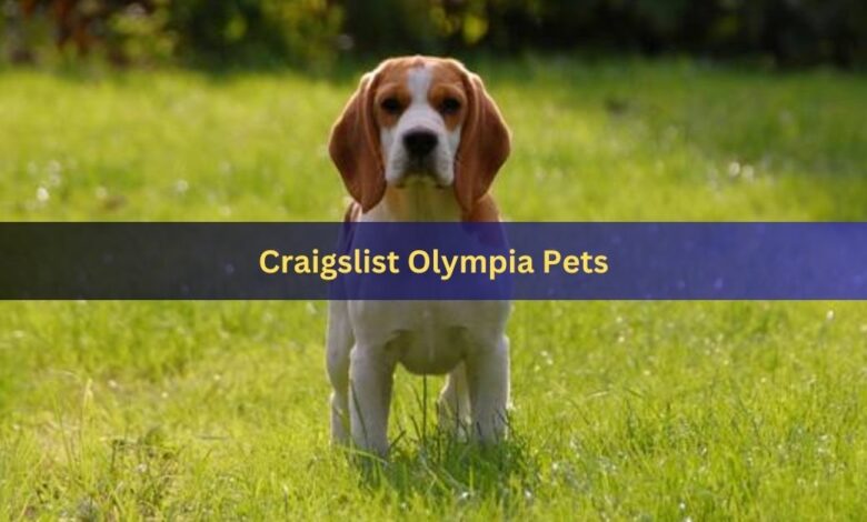 Craigslist Olympia Pets