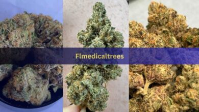 Flmedicaltrees