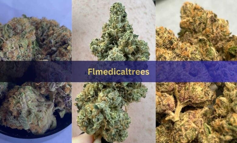 Flmedicaltrees